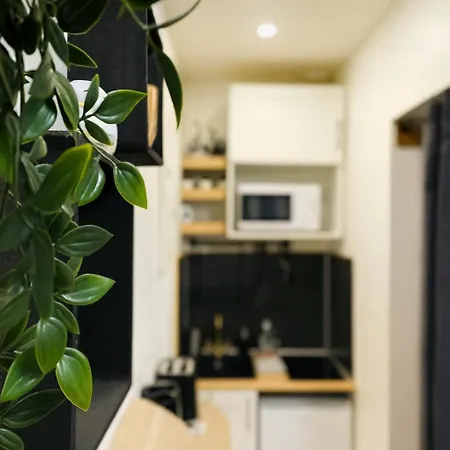 Le Cloudy Cocon Calme Hypercentre - 418 Appartamento