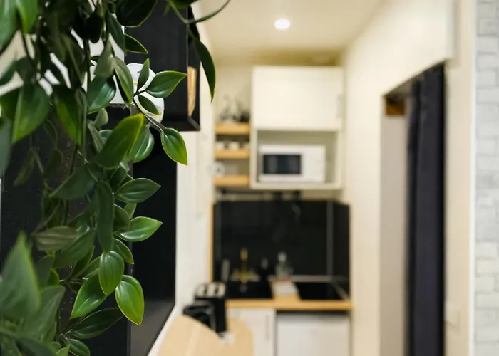 Le Cloudy Cocon Calme Hypercentre - 418 Appartamento